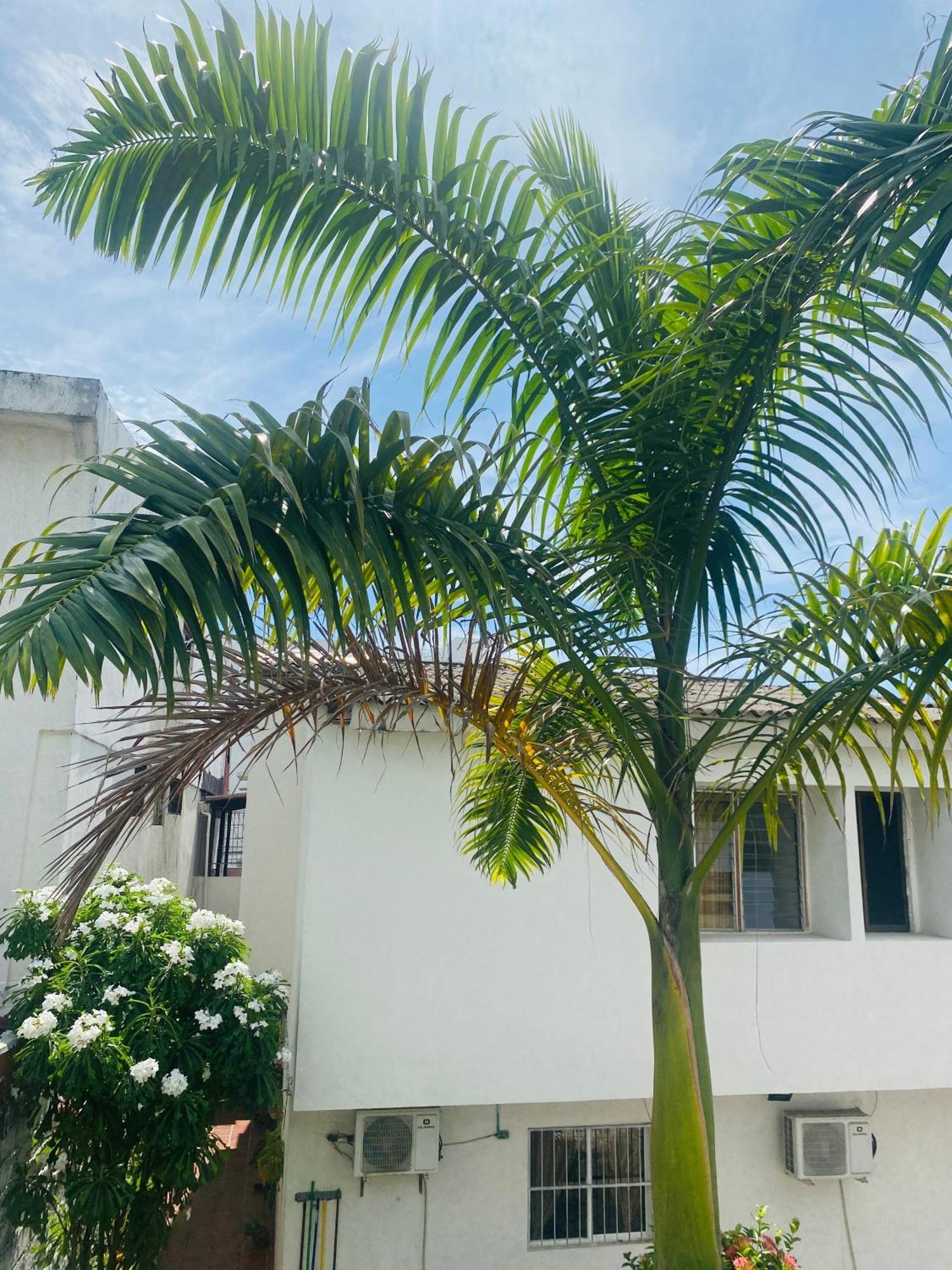 Hostel Cerca Al Centro Historico Cartagena Eksteriør billede